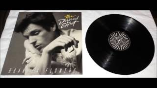 BRANDON FLOWERS - Lonely Town