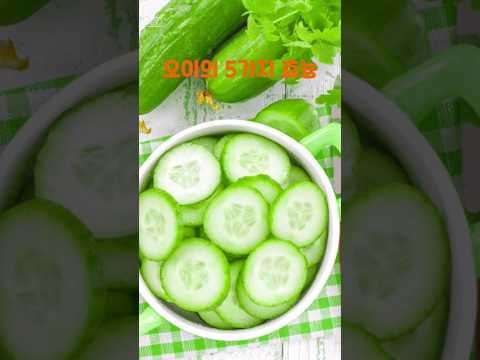 오이의 5가지 효능 오이 효능 오이소박이 오이김치 음식 야채