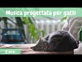 22 Musica Progettata Per Gatti Musica Rilassante Per Gatti Per Calmarsi Il Dormire Animali