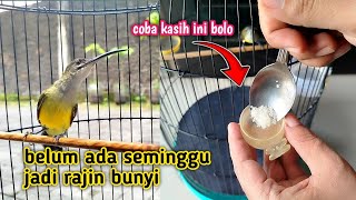 Download lagu BANANA PIJANTUNG MATERIAL CAN ALSO BE CONSOLID WITH THIS METHOD‼️prove it now mp3 Download lagu BANANA PIJANTUNG MATERIAL CAN ALSO BE CONSOLID WITH THIS METHOD‼️prove it now mp3