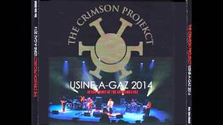 In the Court of the Crimson King (extract / Adrian Belew solo) 2014