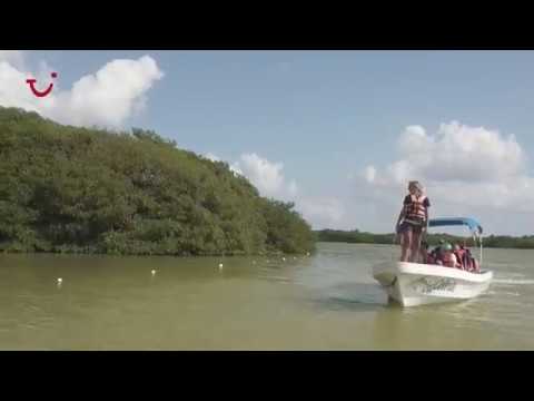 Sian Ka´an Biosphere Reserve Tour | TUI Musement