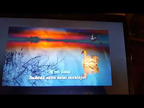 Mana dzīve īsumā.