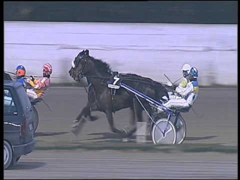 Trotto 24/12/2015 - 5° corsa