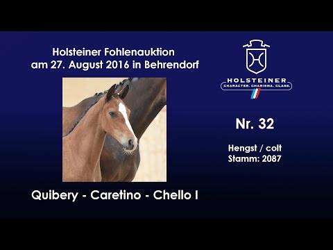 Holsteiner Fohlenauktion 2016 in Behrendorf - Nr. 32 v. Quibery - Caretino