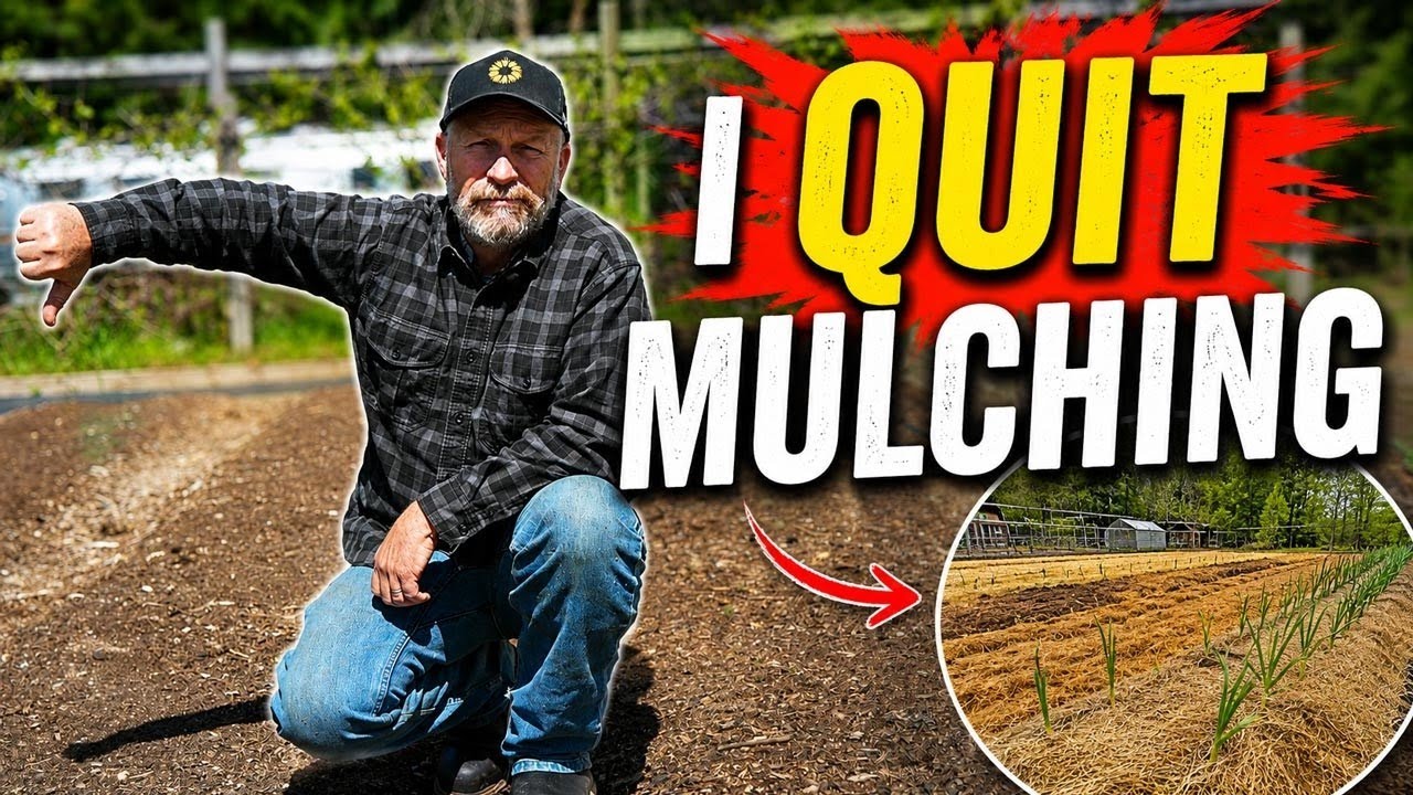 Why I STOPPED Mulching My Garden