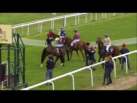 Galopprennbahn Dresden - 13.07.2019 - 1.Rennen