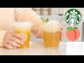 Starbucks Peach Green Tea Lemonade Recipe