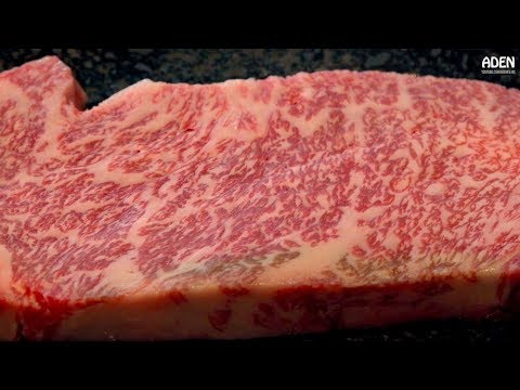 Prime Kobe Beef - Steakhouse in Kyoto Japan