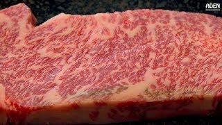 Prime Kobe Beef - Steakhouse in Japan