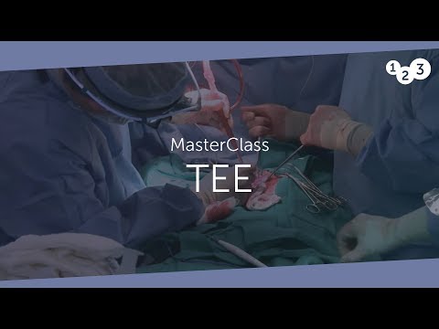 TEE MasterClass - Product Trailer