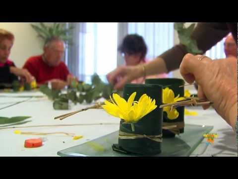 30/01/12 – Programación de la Tercera Edad de La Nucía para el mes de Febrero.