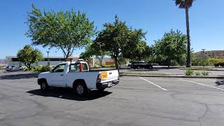 How Trees Help You Every Day