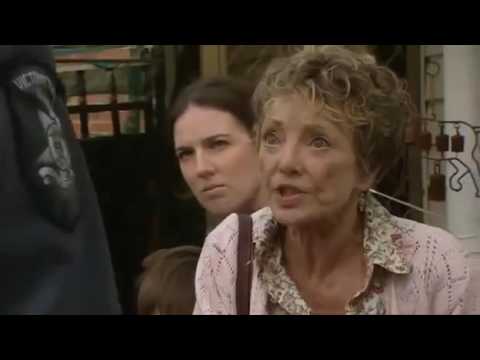 Blue Heelers - 10x27 Chocolate Sardines