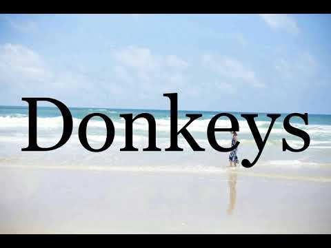 How To Pronounce Donkeys🌈🌈🌈🌈🌈🌈Pronunciation Of Donkeys