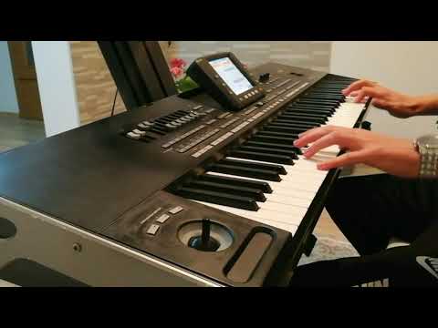 SEBEK I MOJ BEND - DESILA SE PRAVA STVAR - Korg Pa3x / ELKO