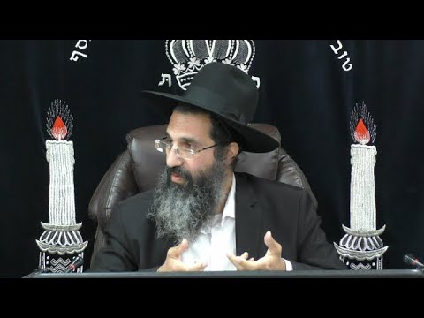 כשיש קדושה - יש שמירה 🛡 הרב שי עובד | רביעי - פרשת נח - תשפד