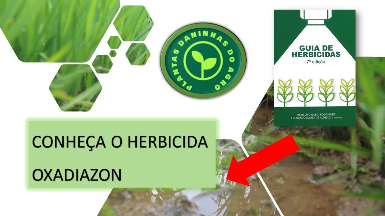 HERBICIDA OXADIAZON