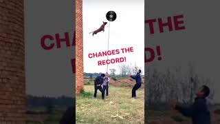 Download lagu THE VINYL RECORD HAS BEEN BROKEN! mp3 Download lagu THE VINYL RECORD HAS BEEN BROKEN! mp3