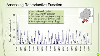 My 20-year Journey Studying Asian Elephants: Integrating Science with Management (Presentation Only)