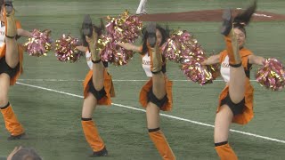 読売ジャイアンツチアリーダー ヴィーナス