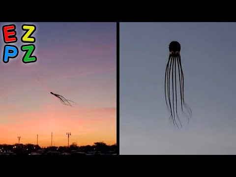 r/Oddlyterrifying · i'm so scared