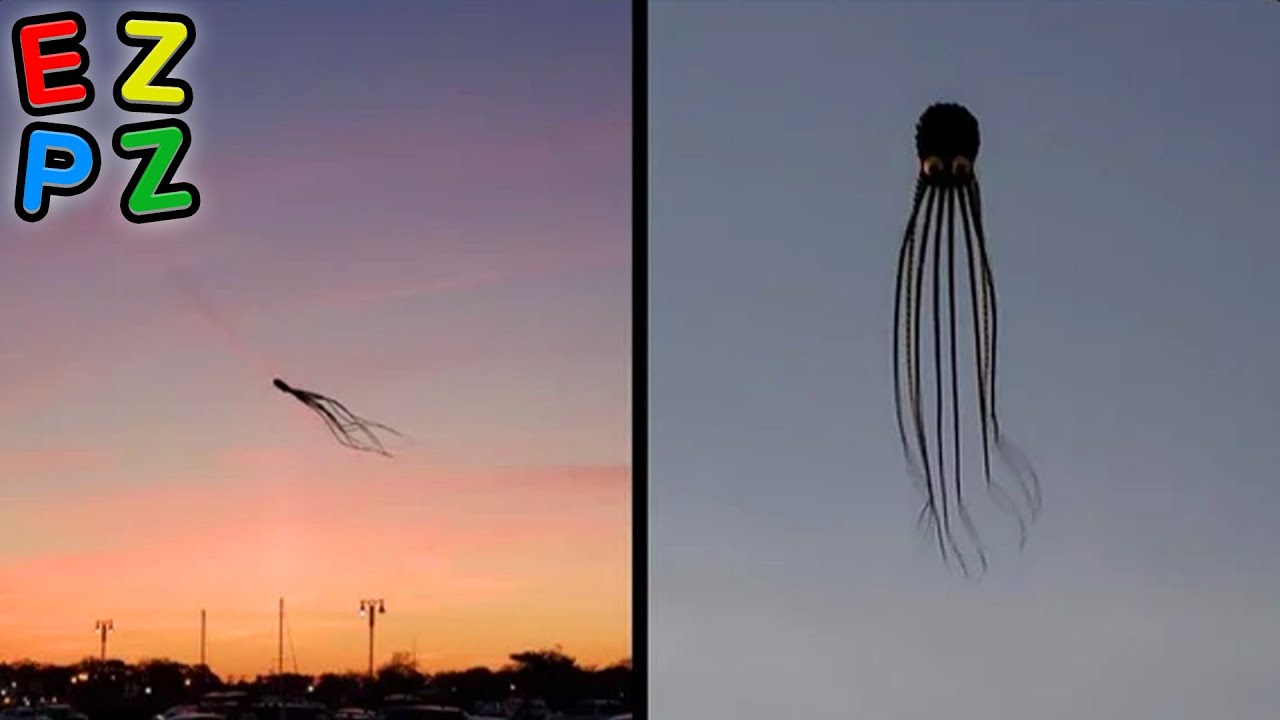 r/Oddlyterrifying · i'm so scared