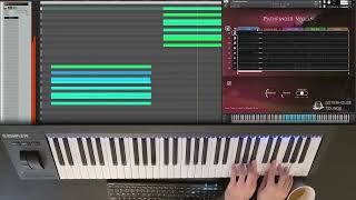 Video thumbnail for Osterhouse Sounds || Pathfinder Violin || Playthrough by Ben Osterhouse