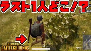 PUBGホラー劇場　～ラスト１人どこ！？～　【ドン勝】