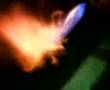 Toy Dog On Fire
