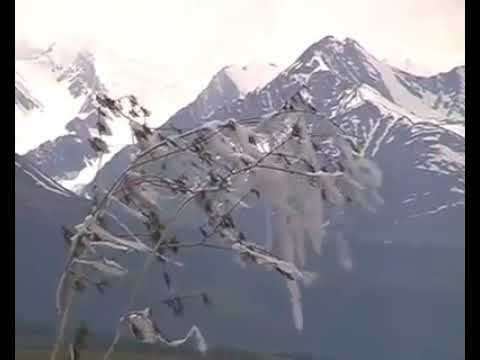 Bolot B.-Pazırık kurganı-The Turkic people Altai