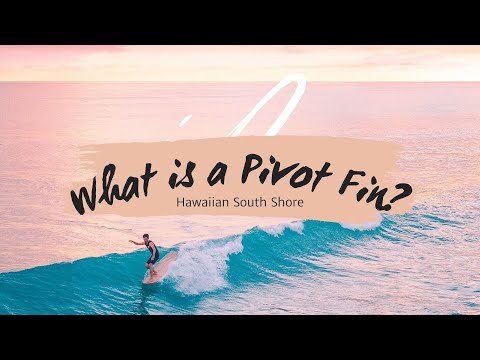 LONGBOARD FIN 101: What is a PIVOT FIN??