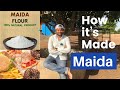 Maida : How it's Made ?  |  मैदा कैसे बनता है  || Refined wheat Flour || Farming Engineer