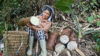 Go Into The Forest To Find Tubers To Sell. The Survival Life Of A Homeless Woman