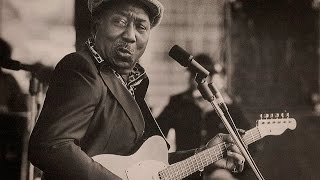 Muddy Waters - Don't Answer The Door - San Francisco 1966