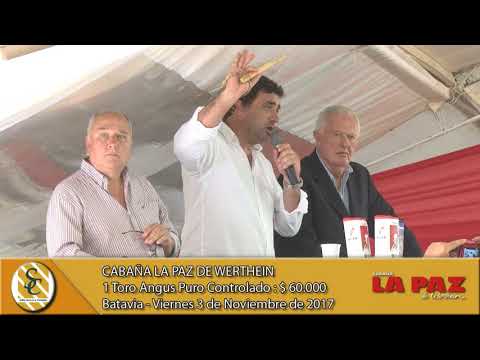 03-11-17 Venta de Toros Angus P.C. - Cabaña La Paz de Werthein - Batavia, San Luis