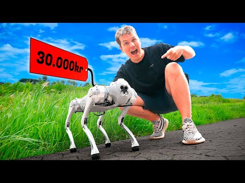 Min Nye Hund Til 30.000KR