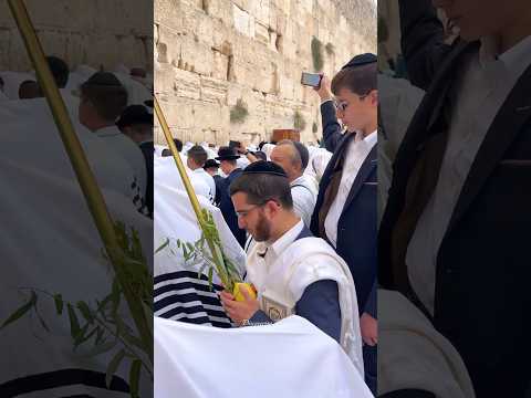 Traditional priestly blessing (birkat kohanim) in Sukkot at the Western Wall in Jerusalem. 2025