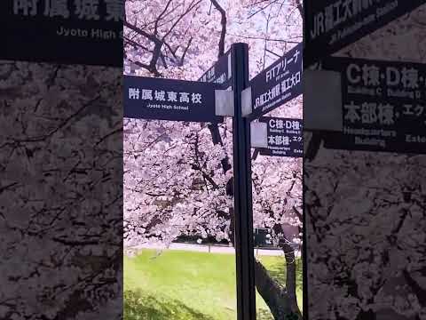 福岡工業大学 キャンパス風景 #shorts