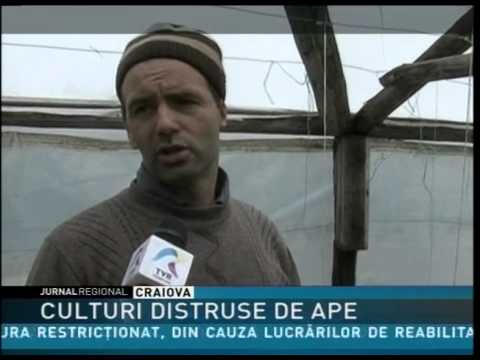 Culturi distruse de ape