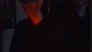 Today Is the Day - Spotting A Unicorn