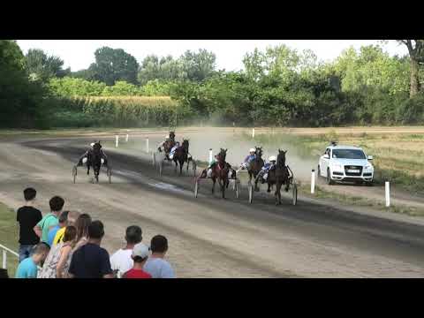 Trka "Agro-Ravangrad doo" 04.08.2019 Adelline - Božidar Miloradović