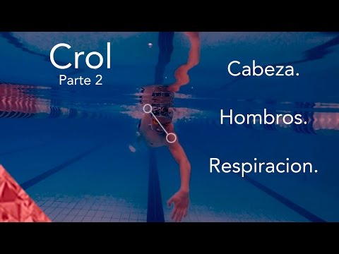 How to swim the crawl stroke correctly. Freestyle swimming. Breathing and shoulders