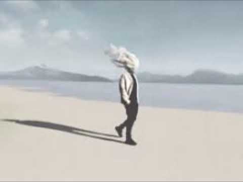 ZGP  - Sunday dreams