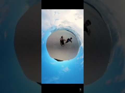 Basscannon, Zanon - Moonworld | Whatsapp Status | Alien Records