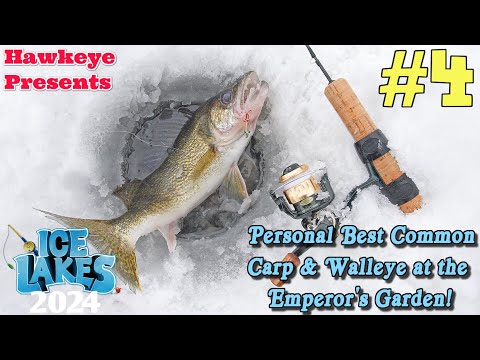 Ice Lakes (2024) #4 - ALL Lakes Tour: Personal Best Common Carp & Walleye at the Emperor's Garden! - YouTube