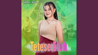 Download lagu Tetese Eluh mp3