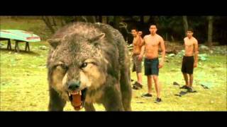 New moon - Jacob's tranformation and fight