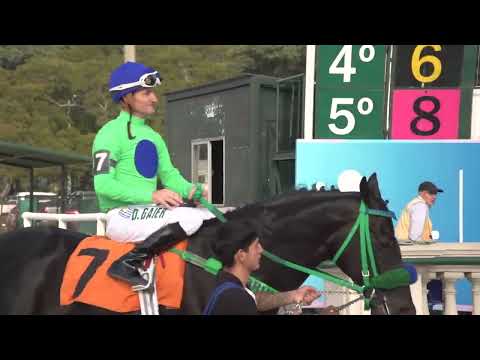 230625 c05 Reapertura/ VOO DE ICARO (BRZ)