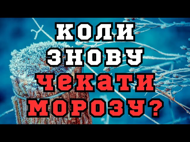 Замена Ступичного Подшипника Переднего Рено Логан: Объясняем Основательно